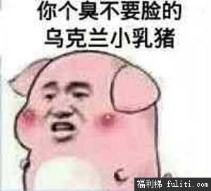 乌克兰小乳猪是什么梗?什么意思
