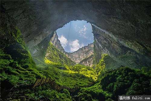 天坑里面有什么?有动物吗 或者有秘密吗