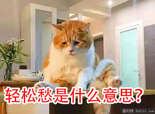 轻松愁是什么意思?朋友老是说轻松愁代表什么
