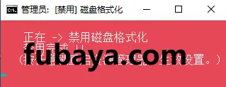 图片[1]-如何防止误触磁盘格式化功能？它可一键禁用此功能-1169-福吧鸭