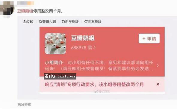 豆瓣鹅组是什么?怎么进?揭秘豆瓣鹅组被停用两个月真相