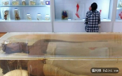 世界上最高的人有几米高?盘点世界排名前十位最高的人