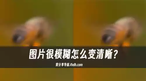 图片很模糊怎么变清晰?它可让你模糊的照片秒变清晰