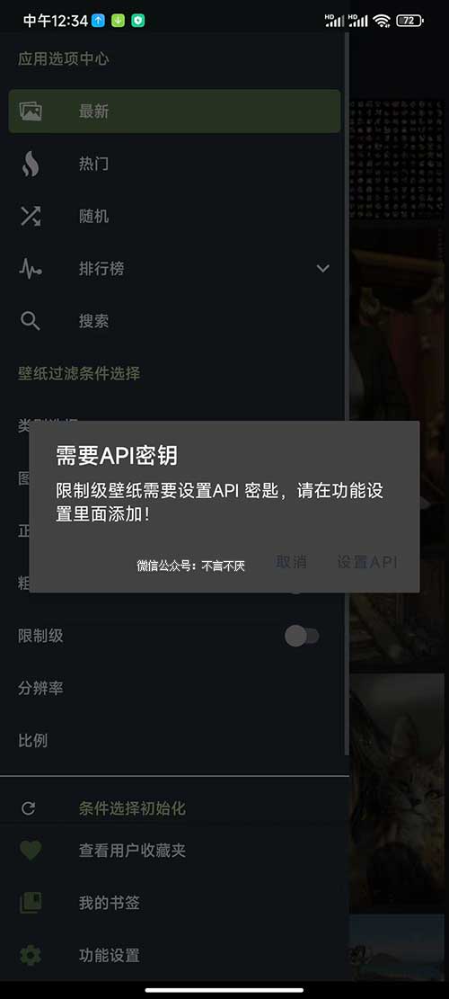 世界上最好的壁纸站Wallhaven有APP了 带秘钥模式