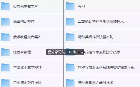 经典武术教程合集：泰拳/擒拿/格斗/散打/咏春 超级全