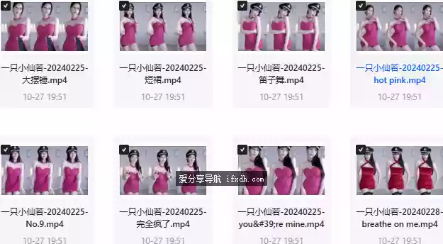 网红主播“一只小仙若”VIP充电付费视频 共24部