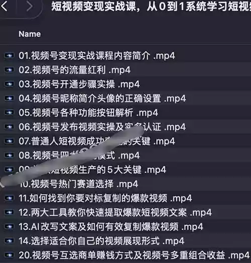 短视频变现实战课 从0到1系统学习短视频变现 38课时