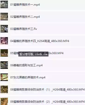 养蜂技术教程：土蜂养殖技术大全 15课时