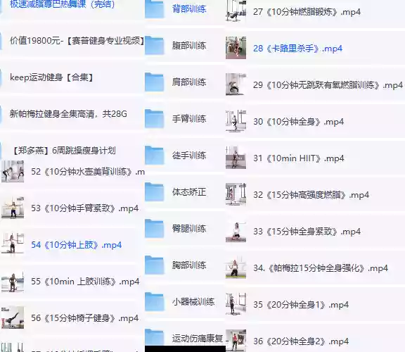 价值上万元的健身付费课程大合集/珍藏资源/100GB