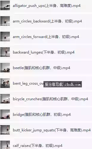 徒手全套健身视频（初级+中级+高级）