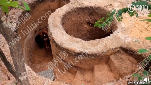 原始搭建类微博视频推荐:@小哥的原始生活 看着很过瘾