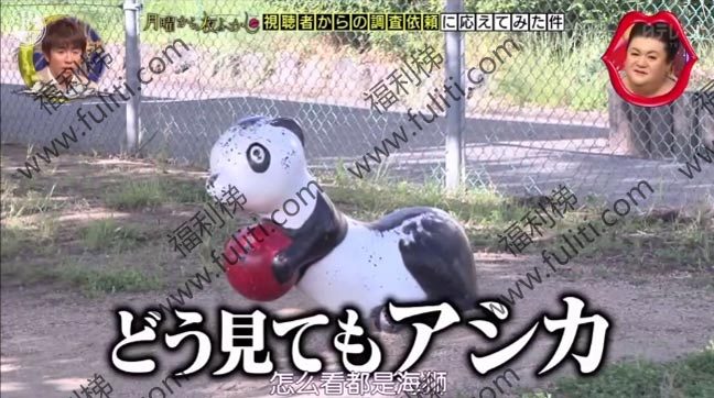 我们所熟知的熊猫在日本人眼里竟然是这样!看完笑的肚子疼