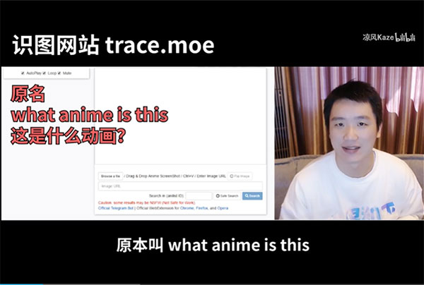 B站视频:几个超级实用的网站,用好了你也可以阅片无数